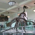 Milton Graves - @gravesmilton - Instagram