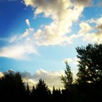 Milton Hayes - @maddochasi - Instagram