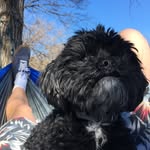 Denver Milton Hershey Cull - @denvermilton_h - Instagram