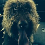 Milton Hershey William Pavlick - @milton.hershey.william.pavlick - Instagram