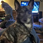 Milton Holmes - Facebook