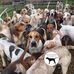Fitzwilliam - Milton Hunt - Facebook
