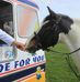 Fitzwilliam - Milton Hunt Events - Facebook