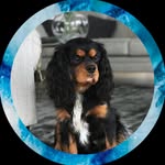 Milton - @miltonjohn_ - Instagram