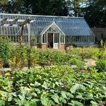 Milton Kitchen Garden - @miltonkitchengarden - Instagram