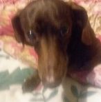 Milton Kurtzman - Facebook