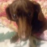 miltonkurtzman - @miltonkurtzman5414 - Instagram