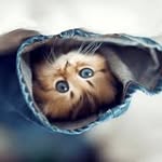 Milton Larson - @smithleroy500 - Instagram
