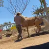 Milton luna - @milton.luna15 - TikTok