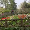 Milton Marquez - @milton.marquez3 - TikTok
