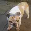 Maxwell Milton-Downes - @maxwell.miltondow - TikTok