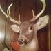 Milton Meadows - Facebook