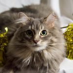 Milton - @milton_miles_1.7 - Instagram