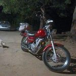 Milton Mills - @miltonmills2 - Instagram