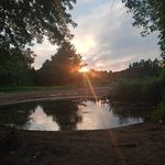 Milton Montgomery - @milton.montgomery.9 - Instagram