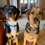 Milton and Murray Brohm - @milton_and_murray - Instagram