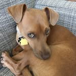 Milton Murray - @meester.milton - Instagram