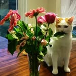 Milton Murray - @milmurrsmom - Instagram