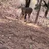 Milton Ochoa - @milton.ochoa53 - TikTok