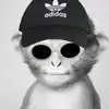 miltonochoa80 - @monkey69691 - TikTok