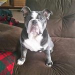 @milton_olson - Instagram