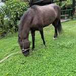 Milton Otero Tarazona - @miltonoterotarazona - Instagram