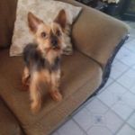 Milton otero texidor - @miltonotero929 - Instagram