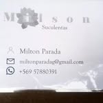 Milton Parada - @milson.suculenta - Instagram
