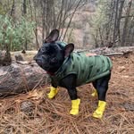 @milton_pierre2022 - Instagram