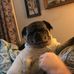 Milton Pollard - Facebook