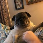Milton Pollard - @miltypoll008 - Instagram