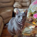 Ramsey Milton - Facebook