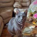 @ramseymilton175 - Instagram