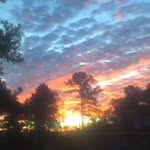 Tom Ramsey - @miltonramsey66 - Instagram