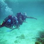 Milton Robbins - @miltonarobbins - Instagram