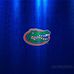 Pamela Milton Robb, P.A. - Facebook