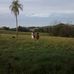 Milton Schmidt - Facebook