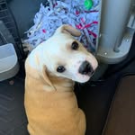 Milton - @milton_alexender_schroeder - Instagram