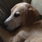 Milton Schroeder - @milton.schroeder.142 - Instagram
