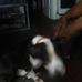 Milton Sharp - Facebook
