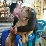 @milton_sharpei - Instagram