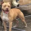miltonshephard530 - @miltonshephard530 - TikTok
