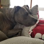 Milton Stanley - @miltonian_dialect - Instagram
