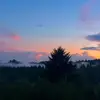 miltonkasey_stanton7 - @miltonkasey_stant - TikTok