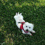 Milton Bradley Stewart - @miltonmybrandnewson - Instagram