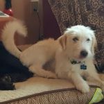 Milton Strauss - @miltonstrauss1 - Instagram