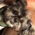 Milton E Swain - Facebook