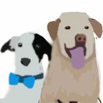 🐾Vincent And Milton🐾 - @vincent_and_milton - Instagram