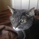 Milton Wright - @milton.wright.5 - Instagram