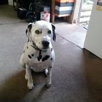 Milton Wright - Facebook